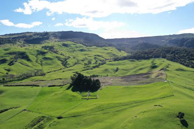 ‘Te Rangi Station’, deer hunting, farming, tourism