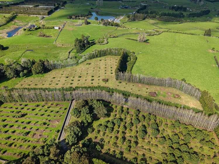 131 Tatton Road Maungatapere_18