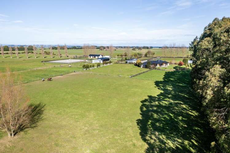 255 Calico Line Marton_44