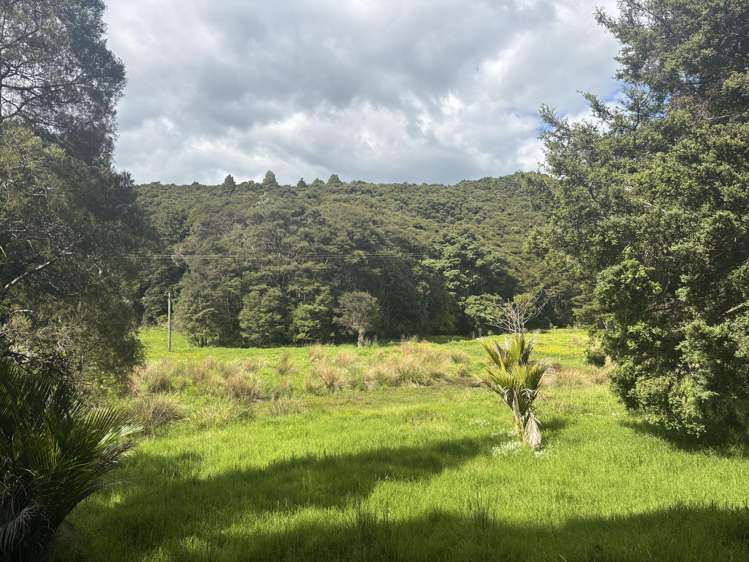 Mata Road Kohukohu_2