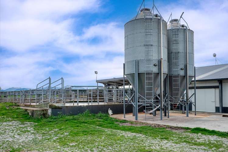 1444 Maronan Valetta Road Westerfield_11