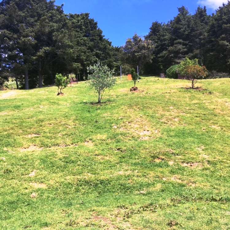 6224 State Highway 1 Moerewa_17