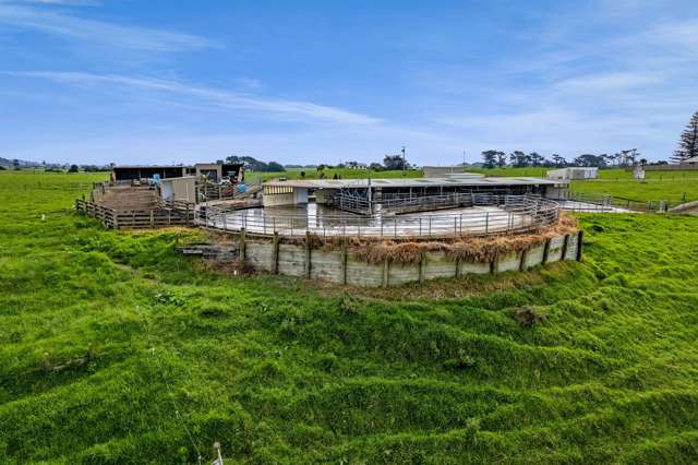78A Waitoetoe Road Urenui_2
