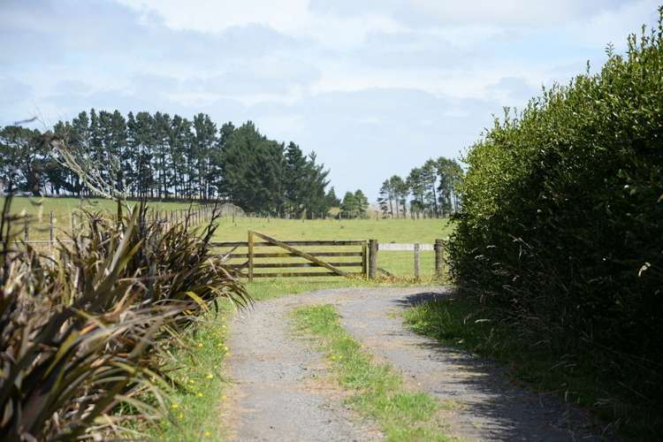 218 Kauri Road Onewhero_0