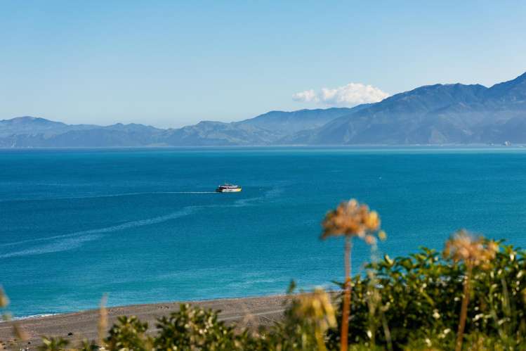 40 State Highway 1 Kaikoura Surrounds_17