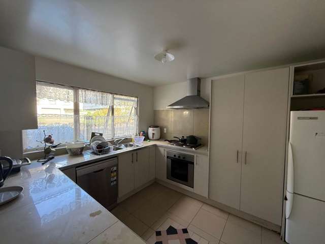 6E Panama Road Mt Wellington_3