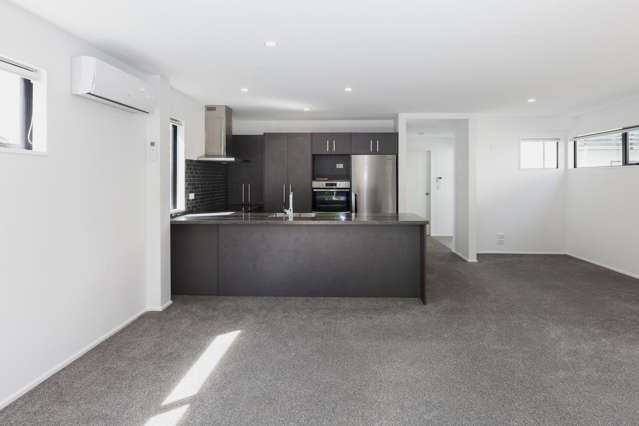 1/237 Armagh Street 1419_2