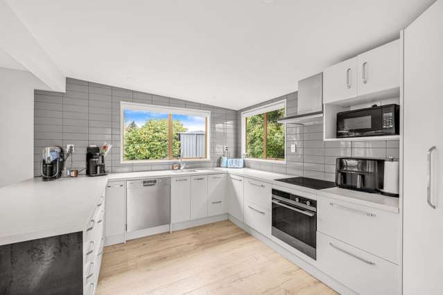 38 Koa Street Gore_2