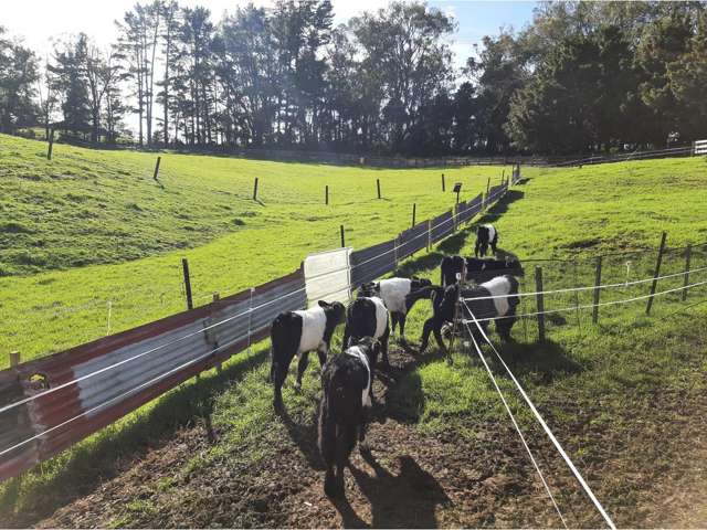 1104 Puketotara Road Kerikeri_3