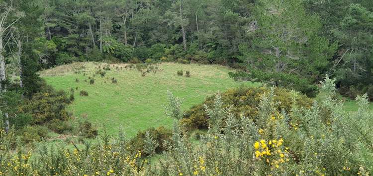 747c No 4 Road Te Puke_13