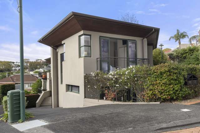 1 John Stokes Terrace Remuera_4