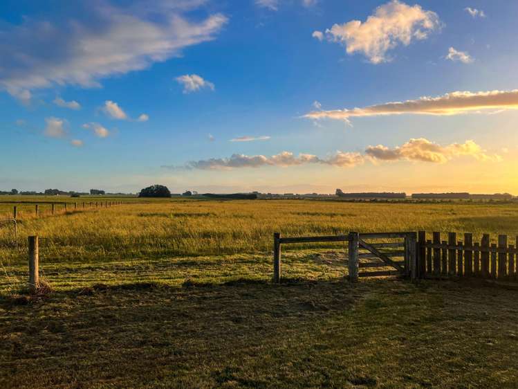 486 Irving Road and 150 Angle Road Woodlands_13