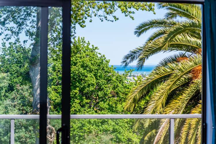 45 Hillview Terrace Mangapapa_13