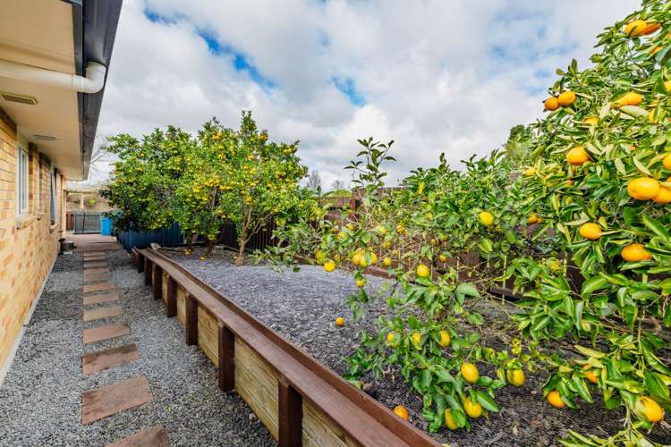 8 Baska Voda Drive Kerikeri_21