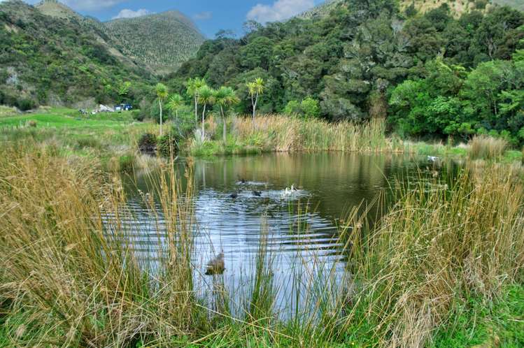 503 Parkville Road Eketahuna_20