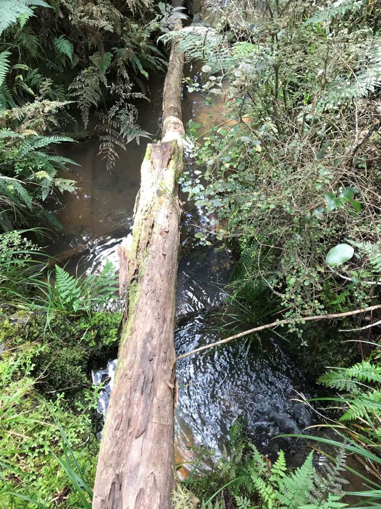 297a Wilson Road Wellsford_18