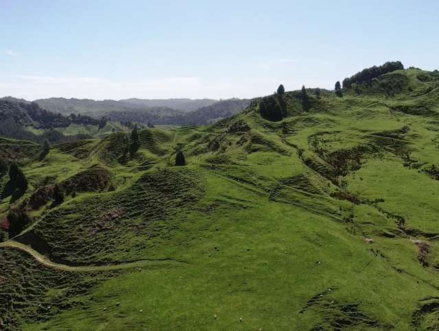 167 Whenuakura Road Waimiha-Ongarue_2