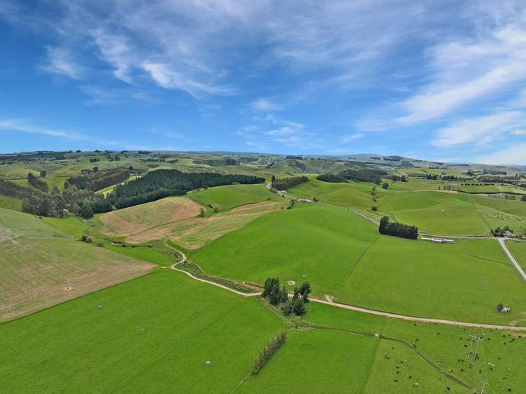 113 Scott Road Milton_15