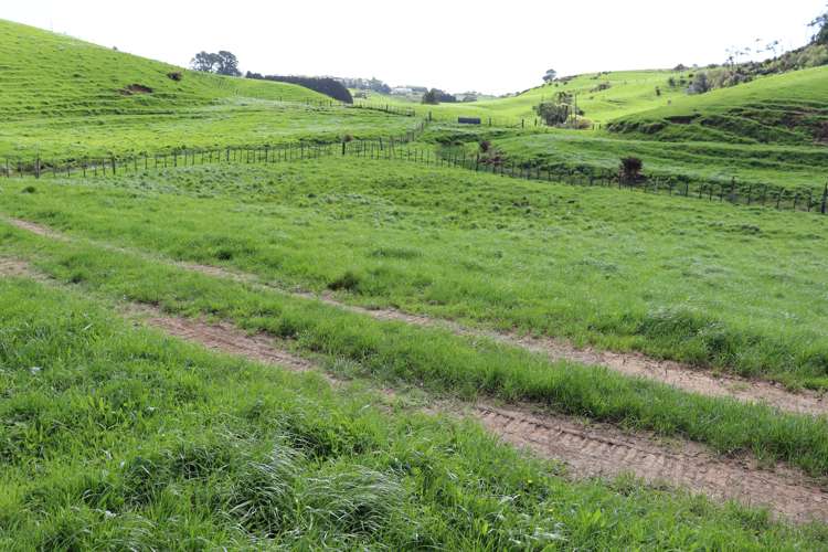 Lt2/310 Henwood Road Bell Block_17