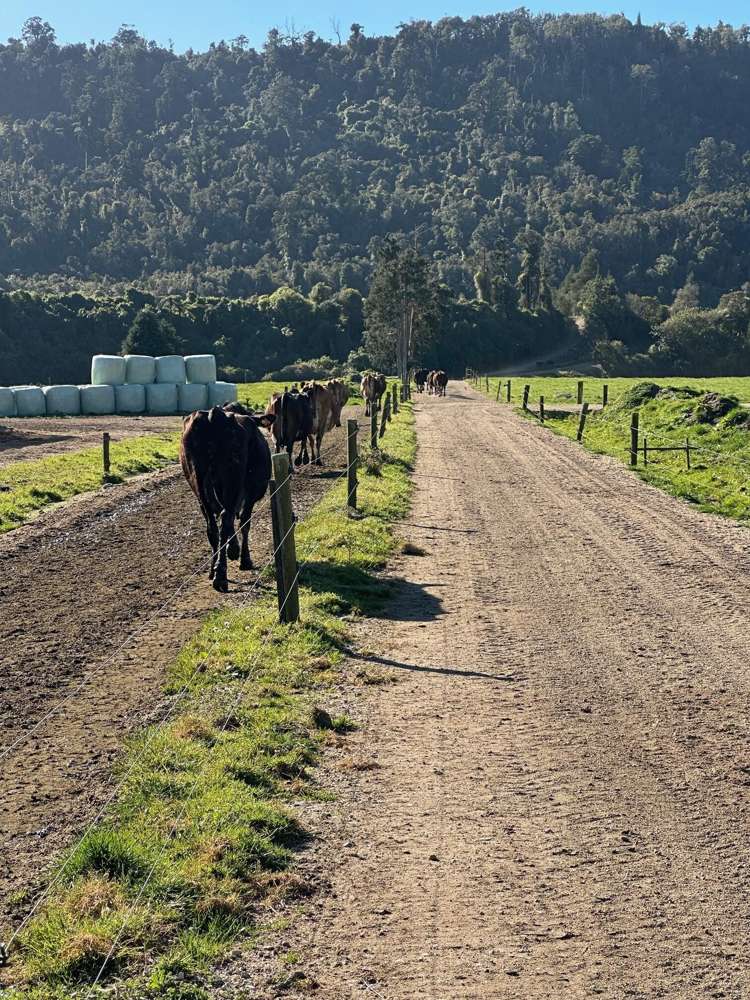 451 Umere Road Karamea_25