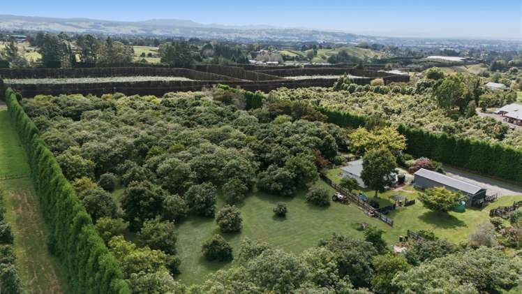 151a Hereford Road Oropi_24