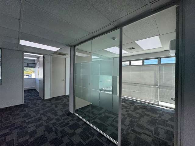 Level 4, Suite A, 19 Great South Road Epsom_1