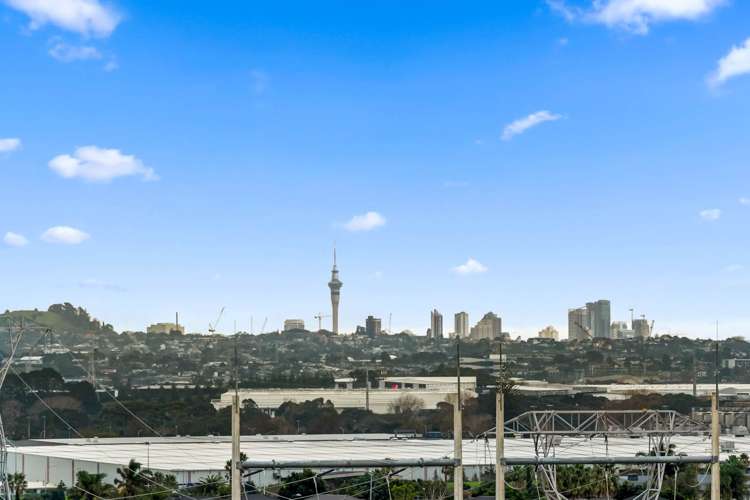 38 Drumnaconagher Road Flat Bush_22