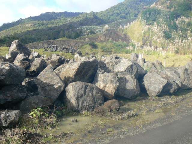 Jamieson Road Omanaia_4