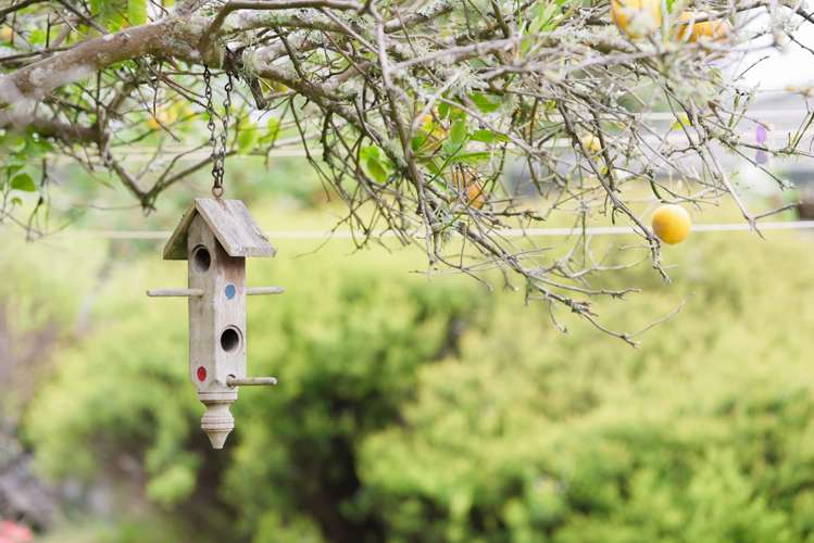 78A Rimu Street Waikanae_16
