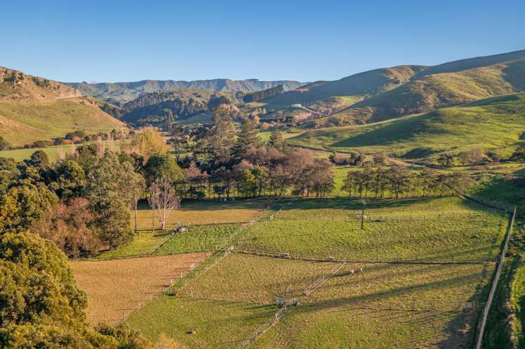 1437 Ormondville Te Uri Road Rangitikei Surrounds_23