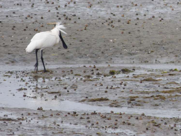 3 Bay Road Riverton_19