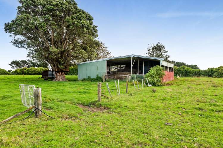 Whakamara Road Hawera_26