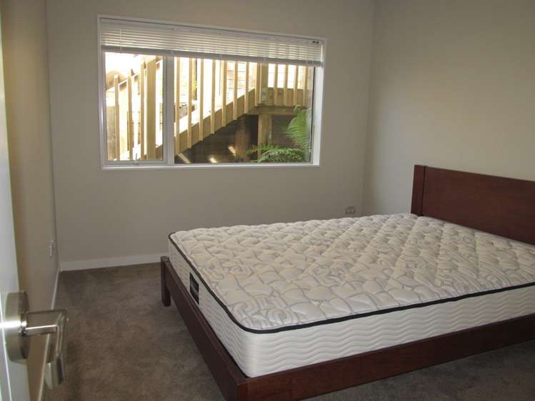 43 Golden Morning Drive Albany Heights_10