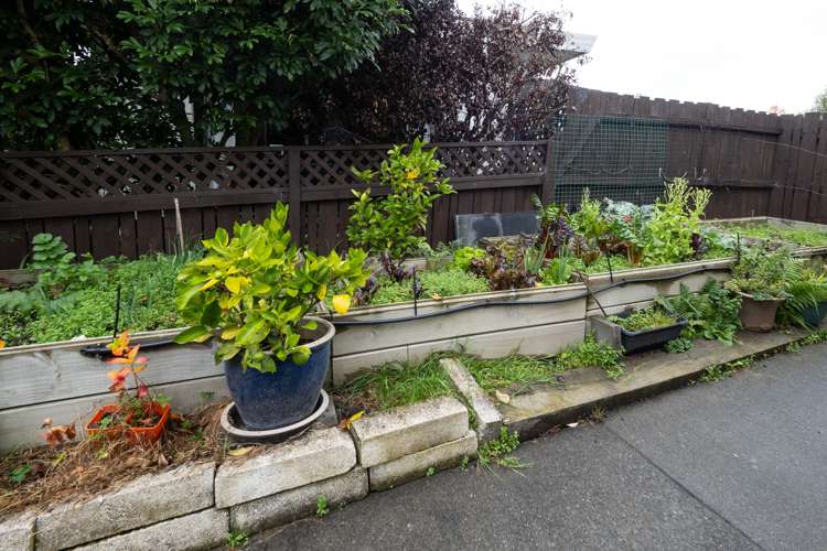 28 Glassey Drive Allenton_29