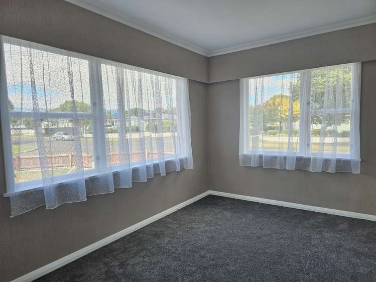 18 Duke Street Levin_10