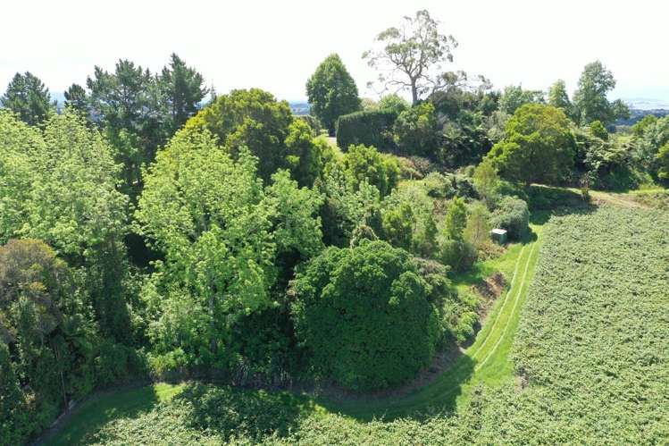 221 Pukemapu Road Oropi_19