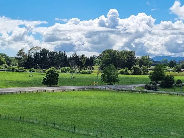 2/2 Hogg Road Onepu_10