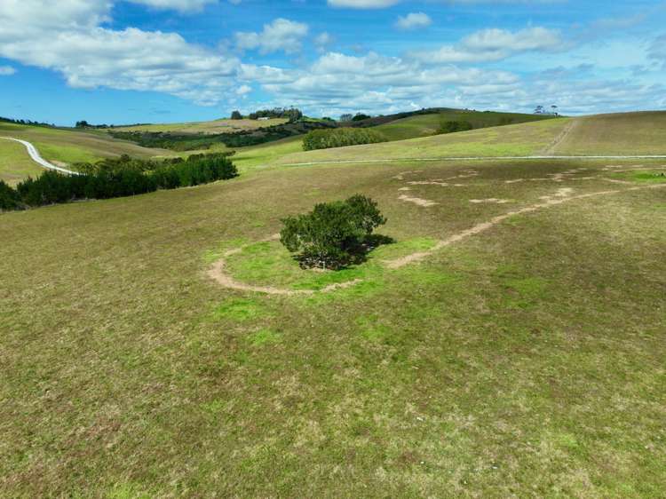 56 Lawrence Road Kaiwaka_9