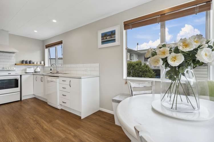 445 Warspite Avenue Ascot Park_5