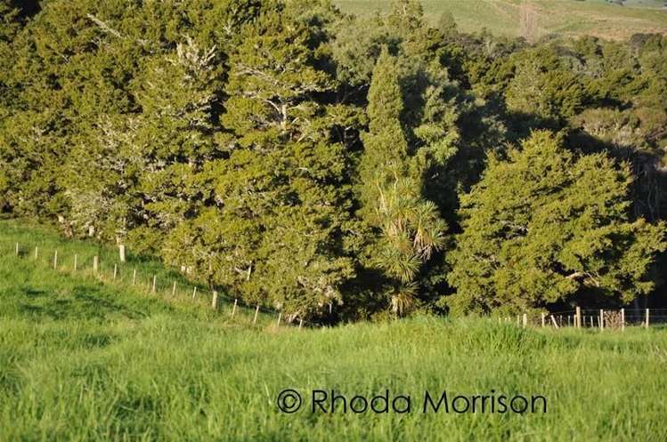 125 Jumna Road Maungaturoto_16