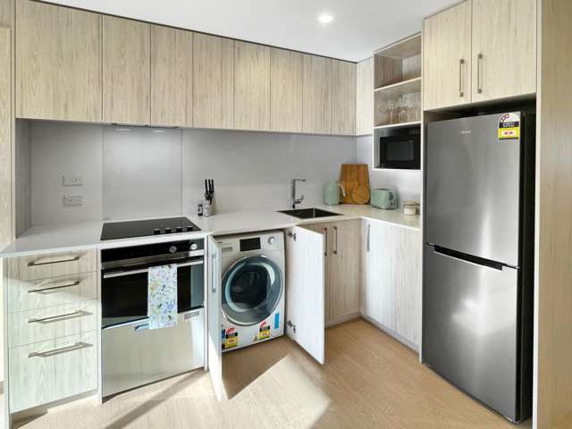 75 Ferry Road Christchurch Central_1