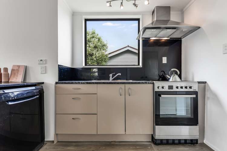 11b Primrose Street Frankton_15