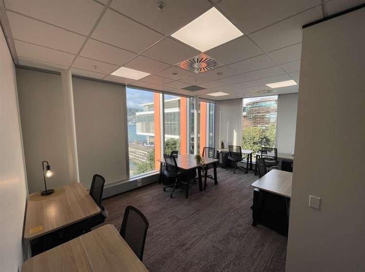 Level 2, 45 Lady Elizabeth Lane Wellington Central_5
