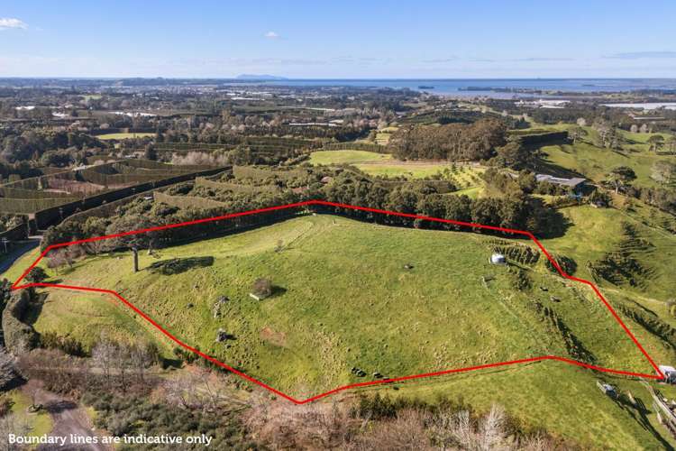 263 Hot Springs Road Katikati_1