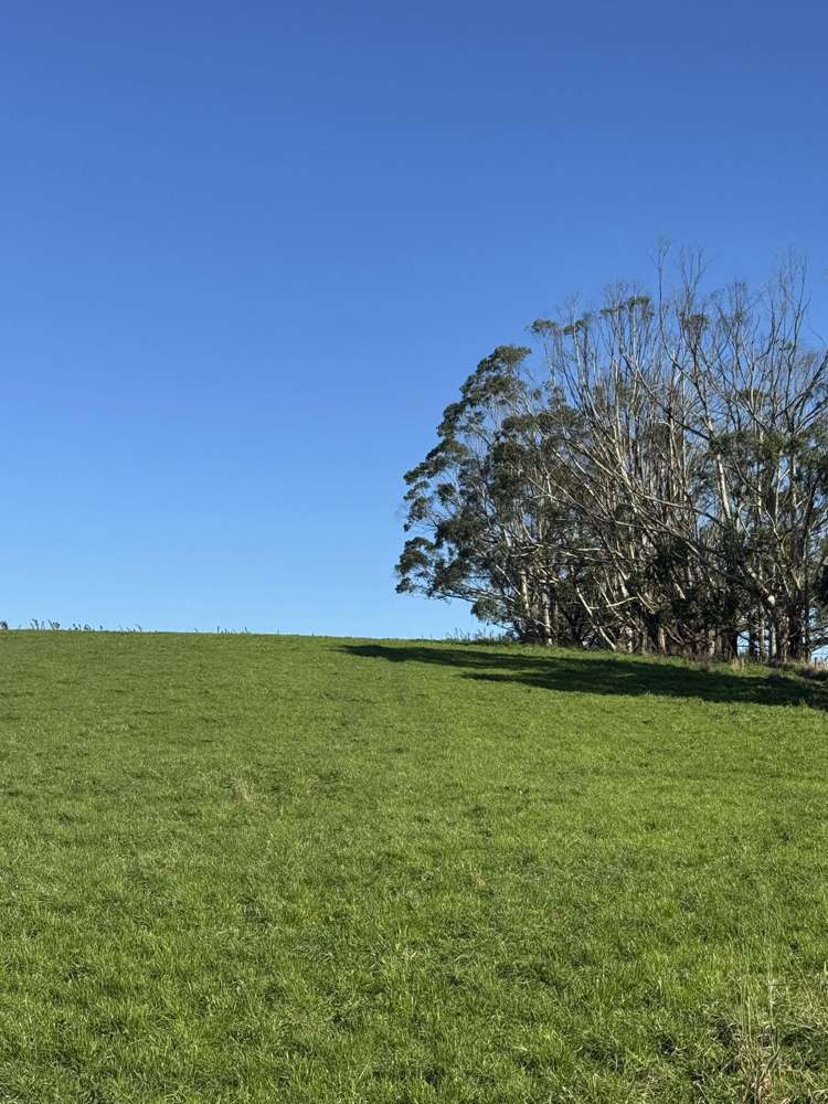 136 Coe Road Lovells Flat_26