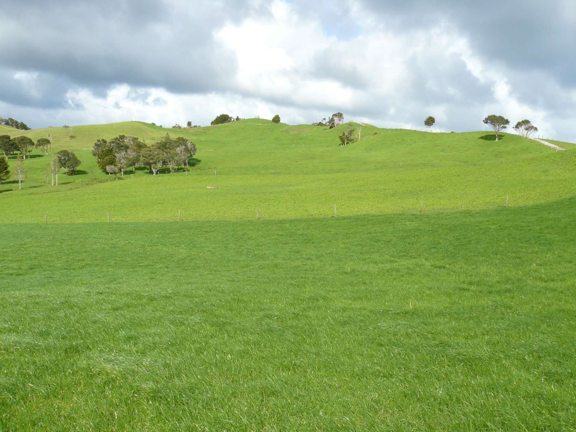 1907 Diggers Valley Road Kaitaia_0