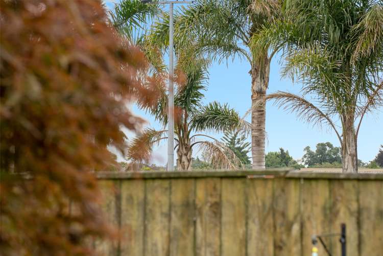 18b Awatapu Drive Whakatane_15