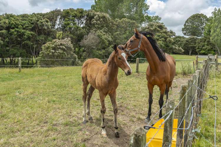 1358 Makirikiri Road Marton_37