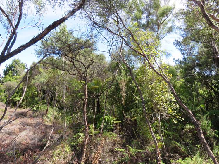 1022A Fairdown Road Fairdown_5