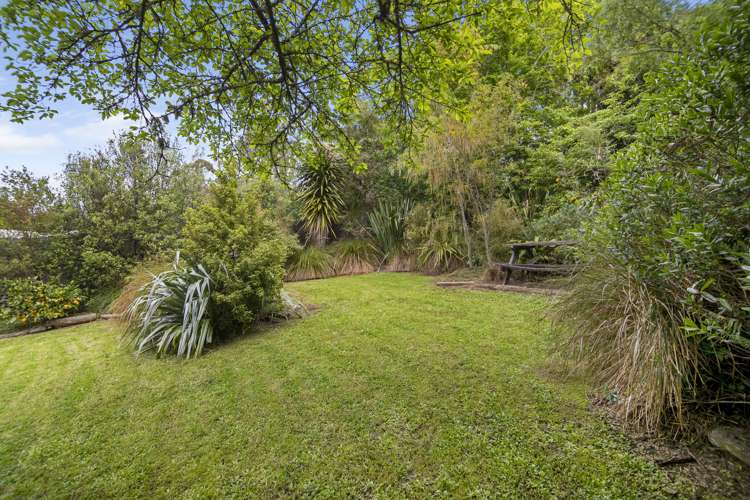 24 Murphy Street Toi Toi_16